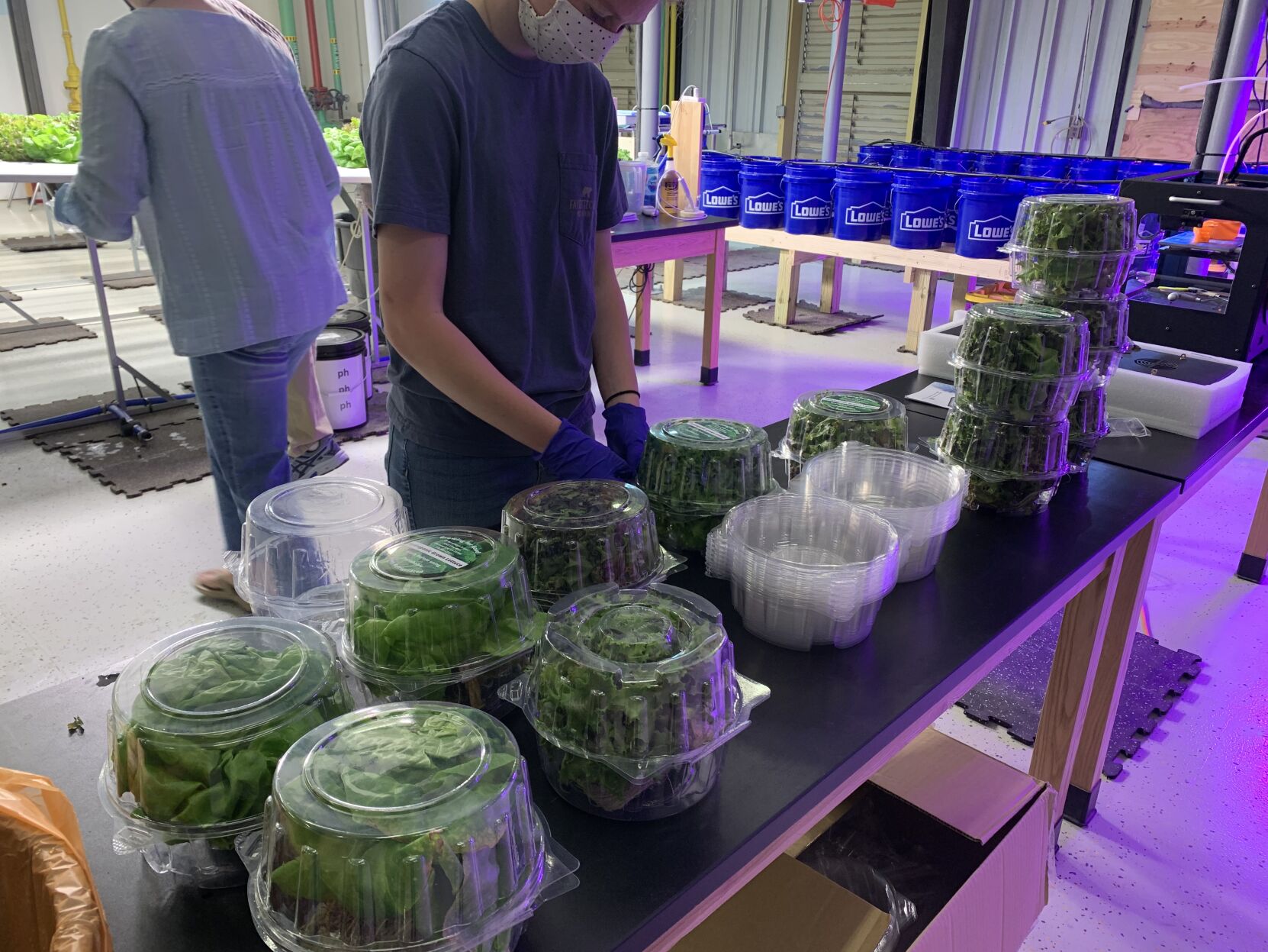 Byrd hydro farm packaged lettuce